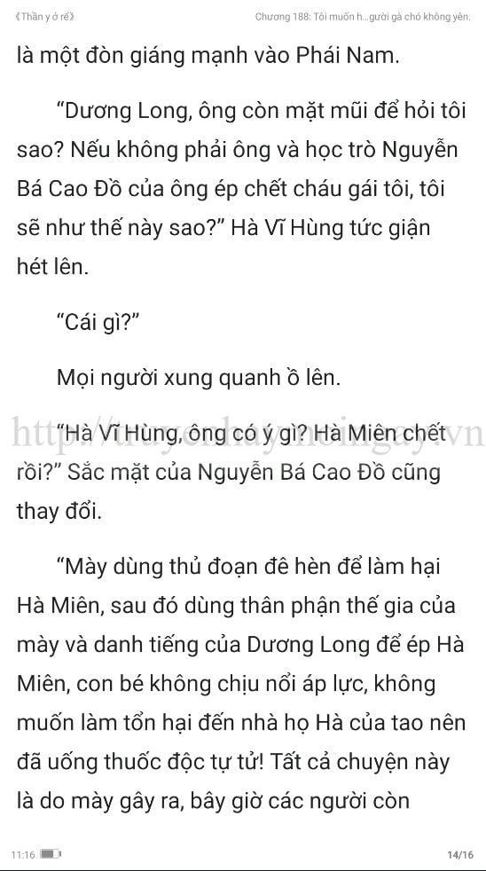 thần y ở rể