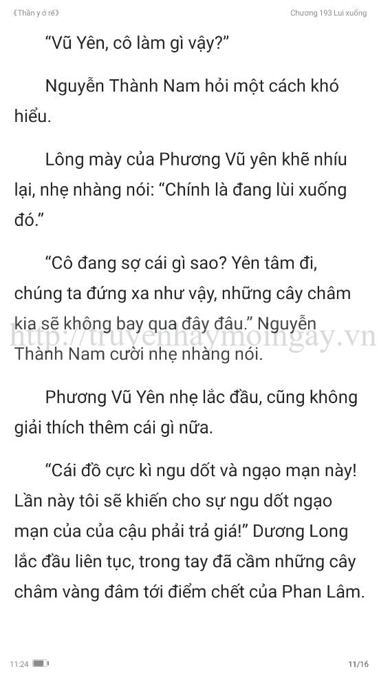 thần y ở rể