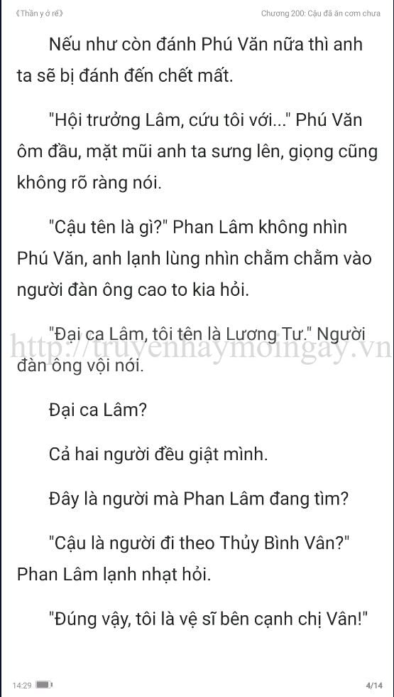 thần y ở rể