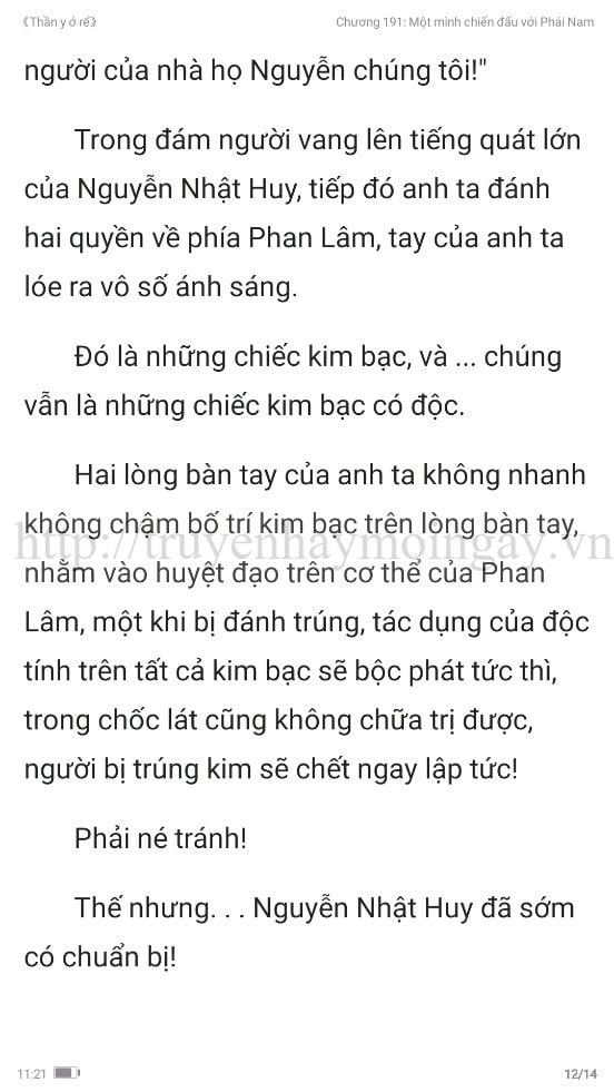 thần y ở rể