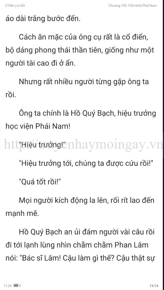 thần y ở rể