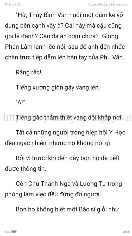 thần y ở rể