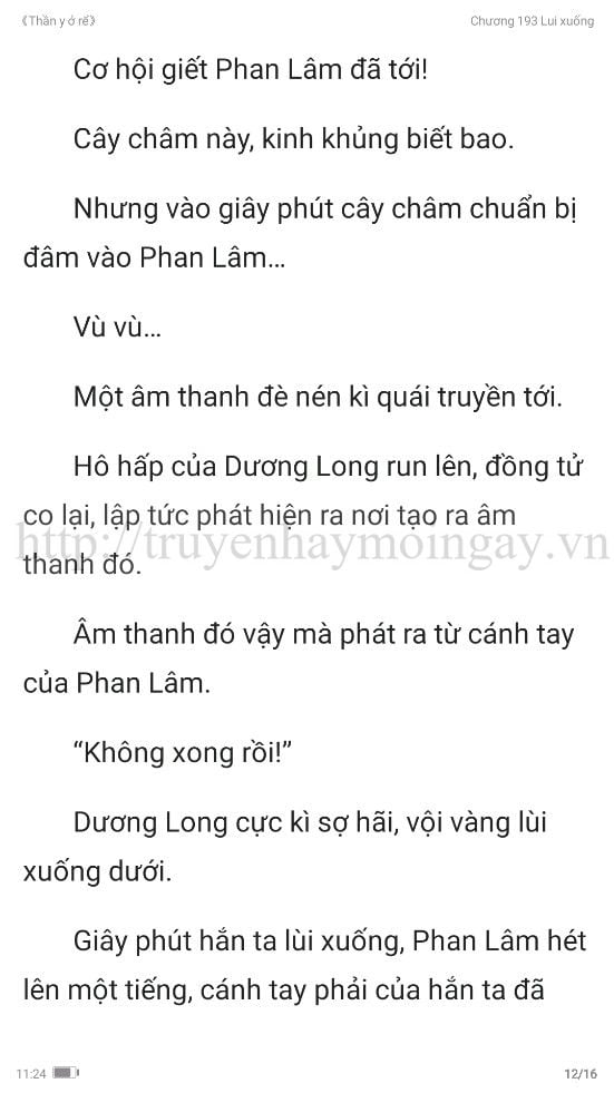 thần y ở rể