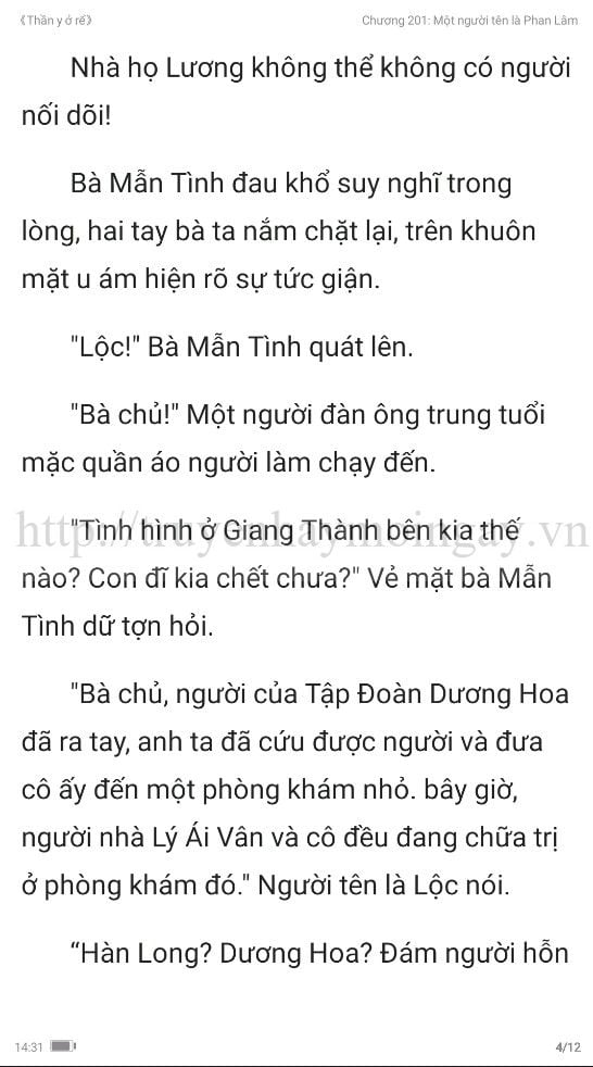 thần y ở rể