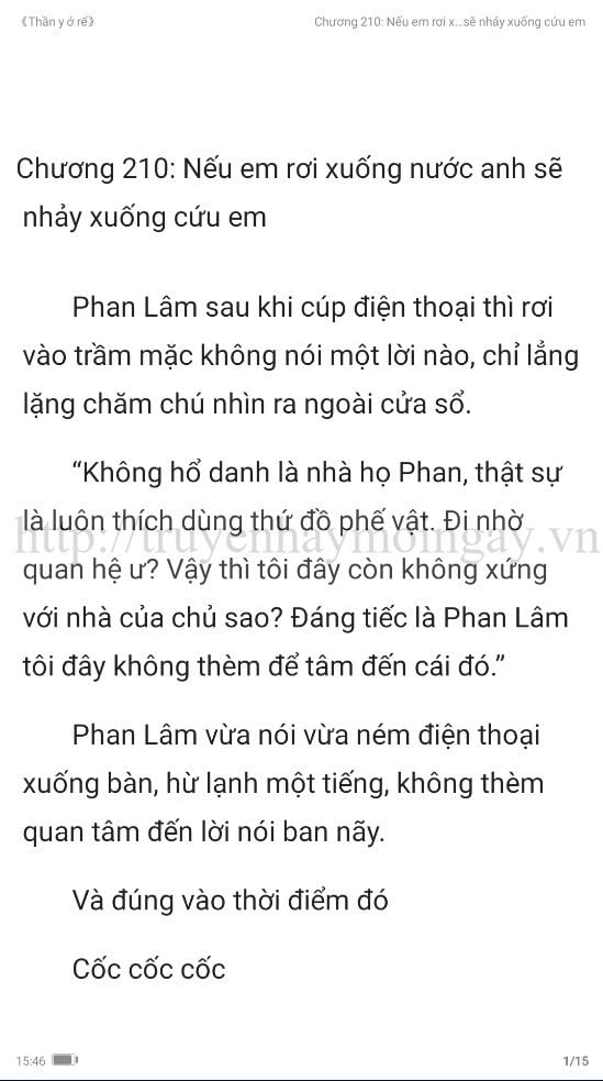 thần y ở rể