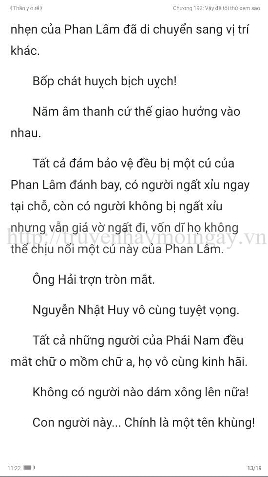 thần y ở rể