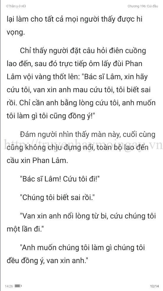 thần y ở rể