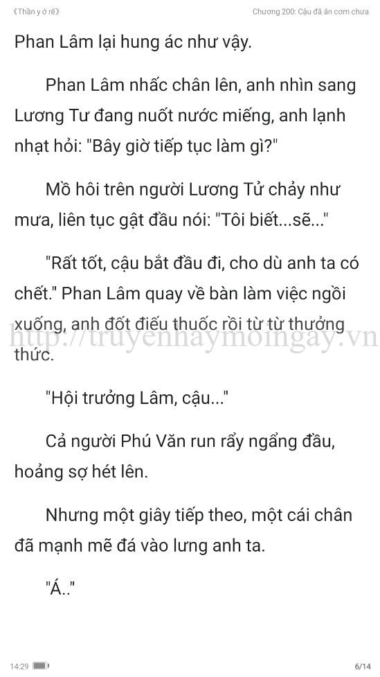 thần y ở rể