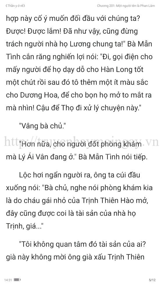 thần y ở rể