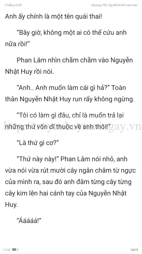 thần y ở rể