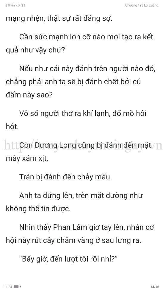 thần y ở rể