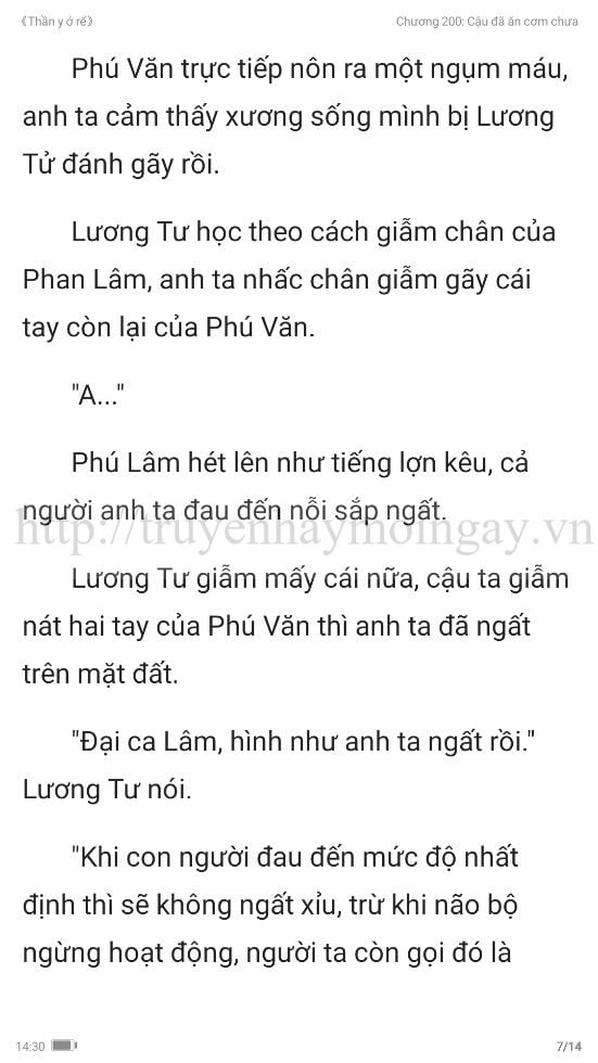 thần y ở rể