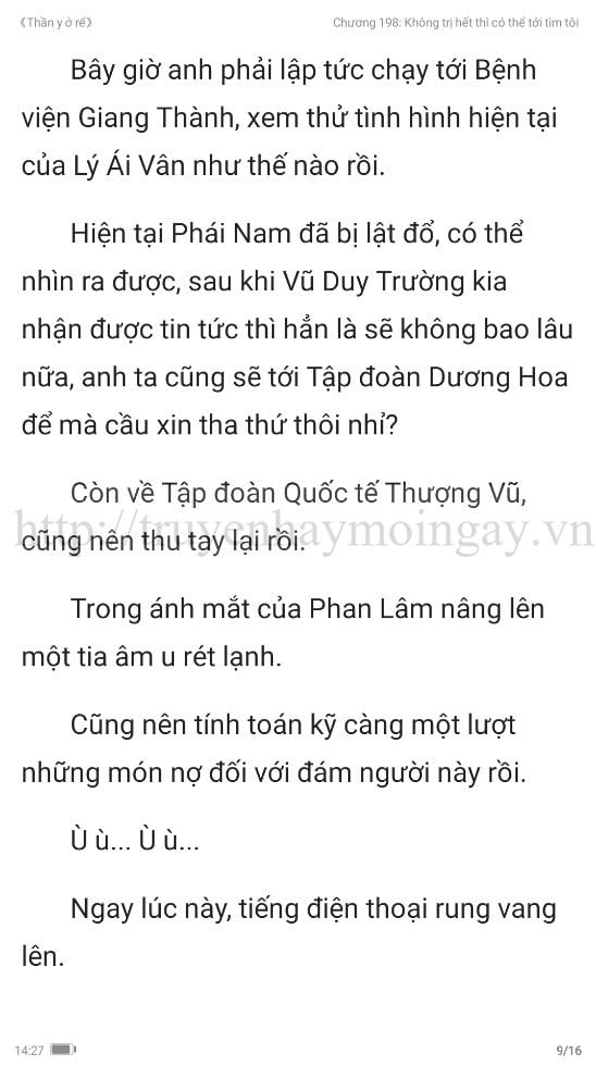 thần y ở rể