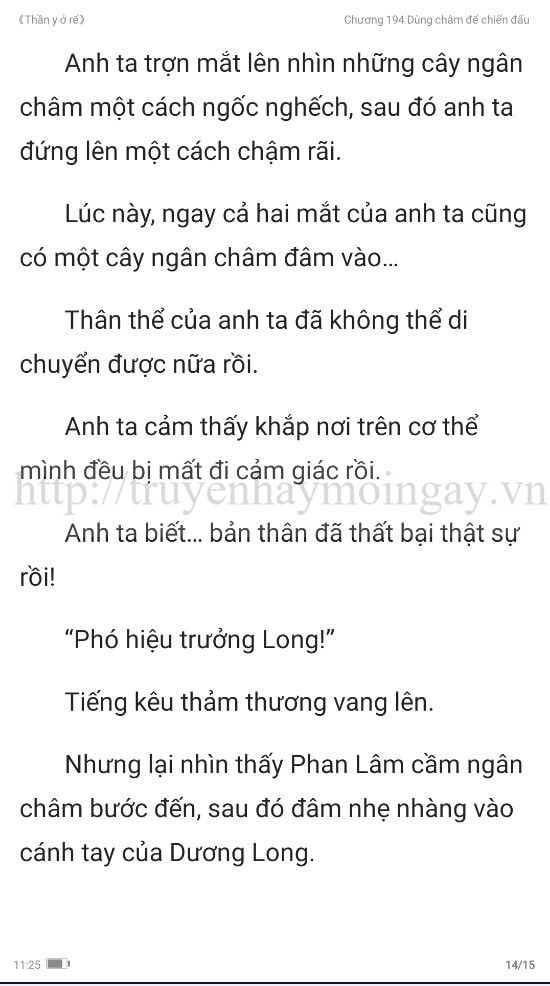 thần y ở rể