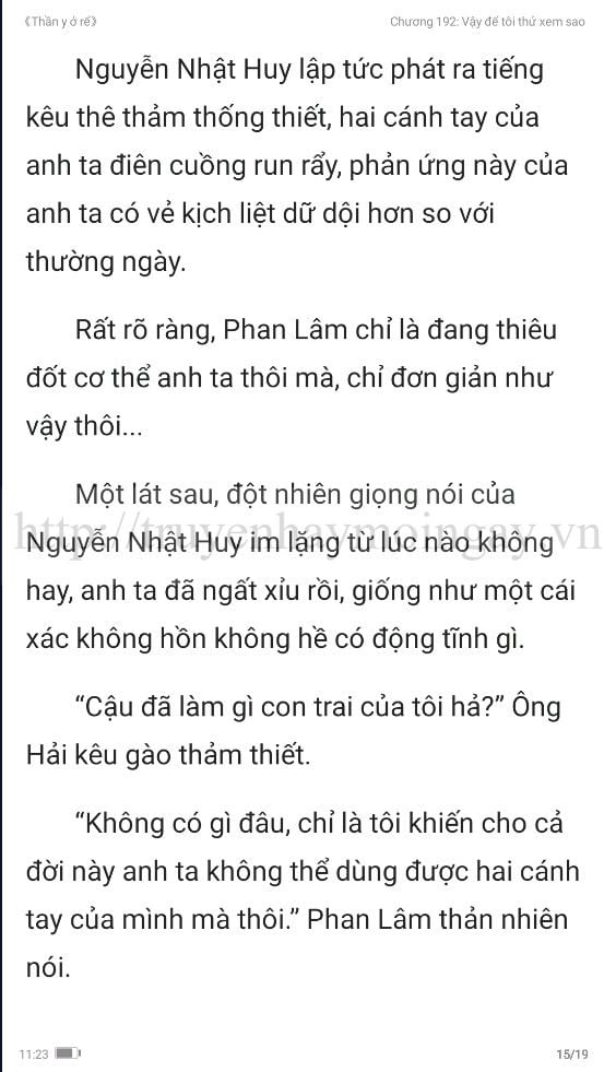 thần y ở rể