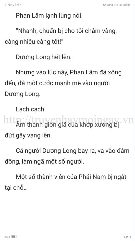 thần y ở rể