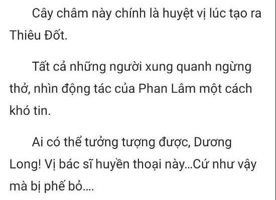 thần y ở rể