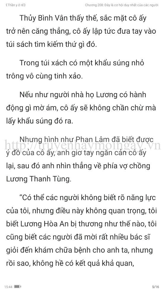 thần y ở rể