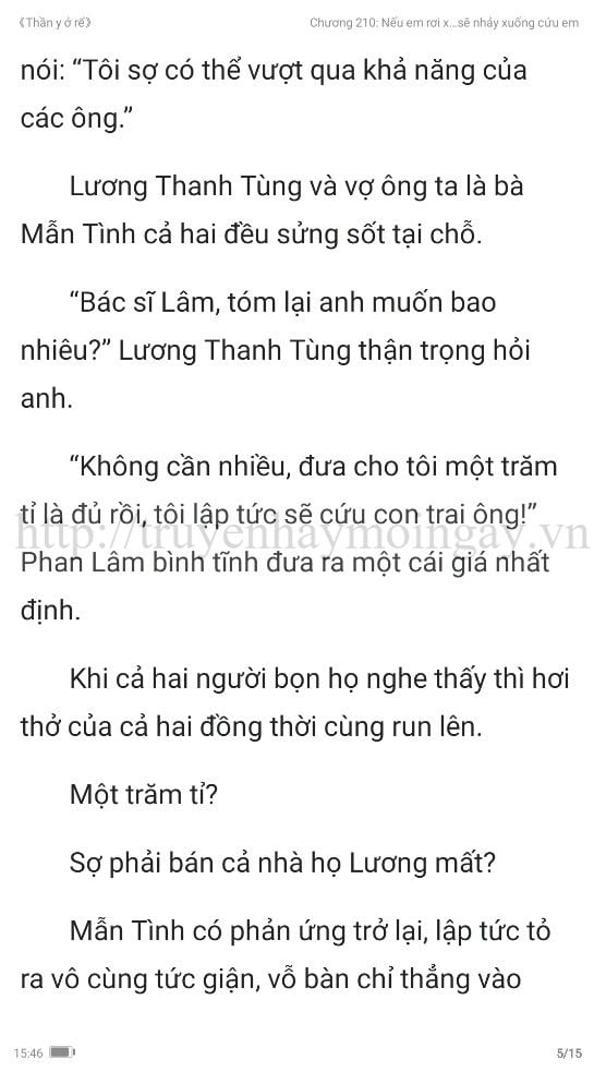 thần y ở rể