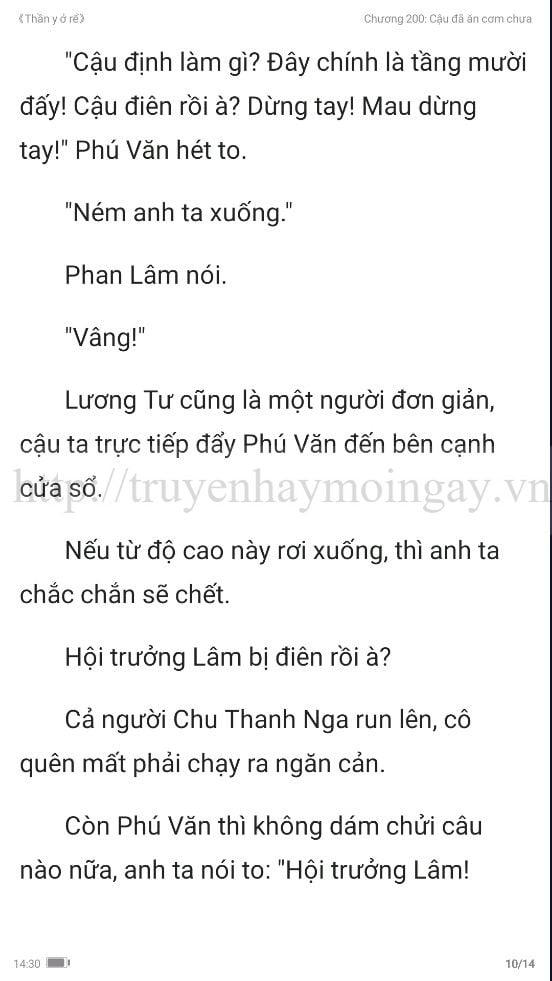 thần y ở rể