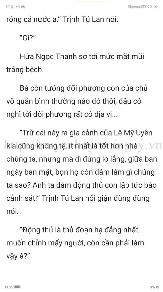 thần y ở rể