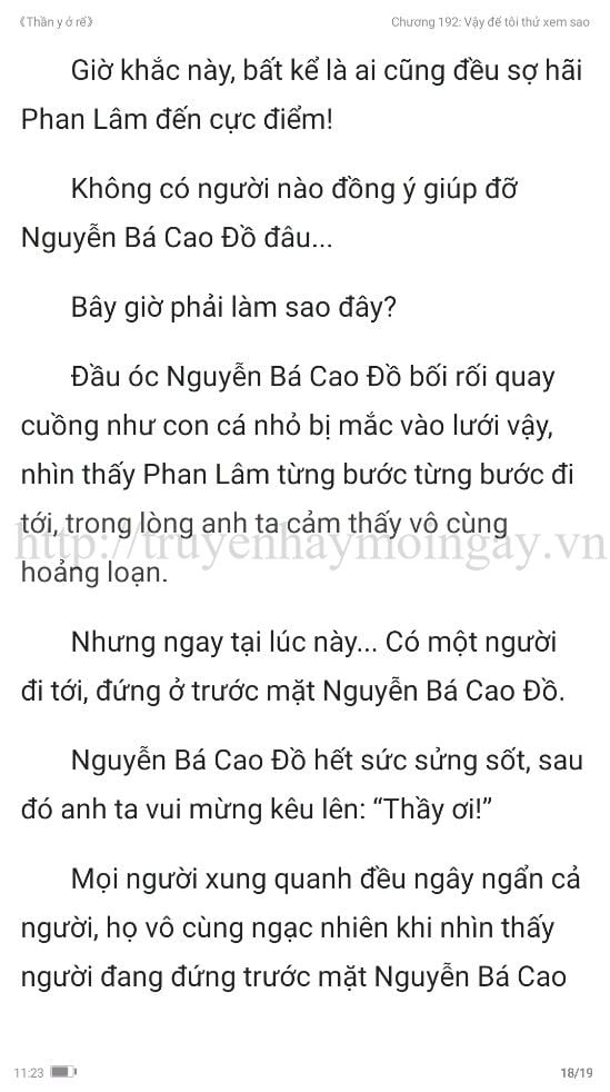 thần y ở rể