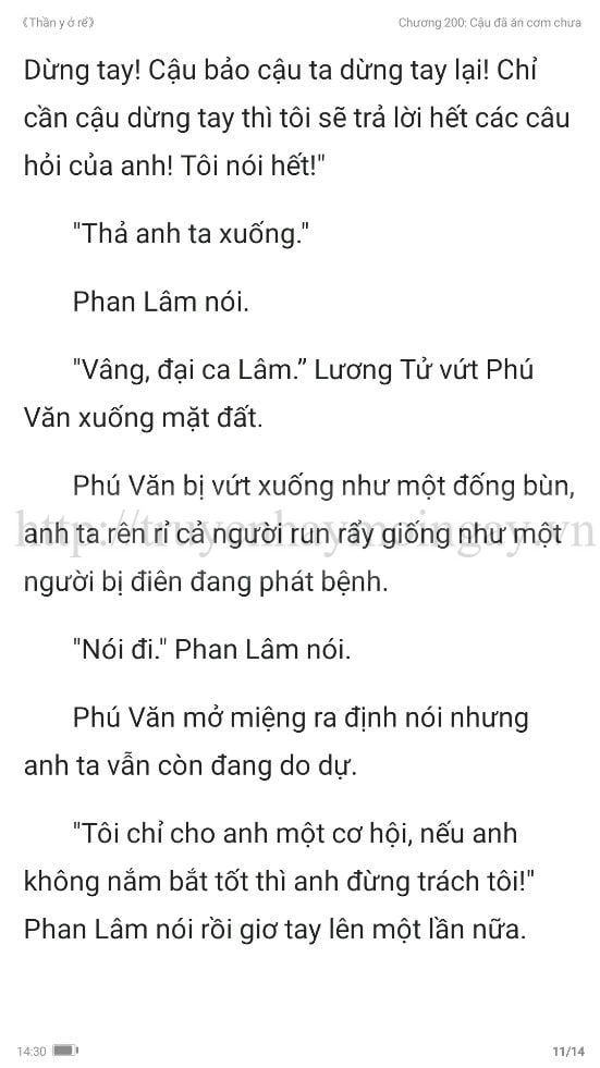 thần y ở rể