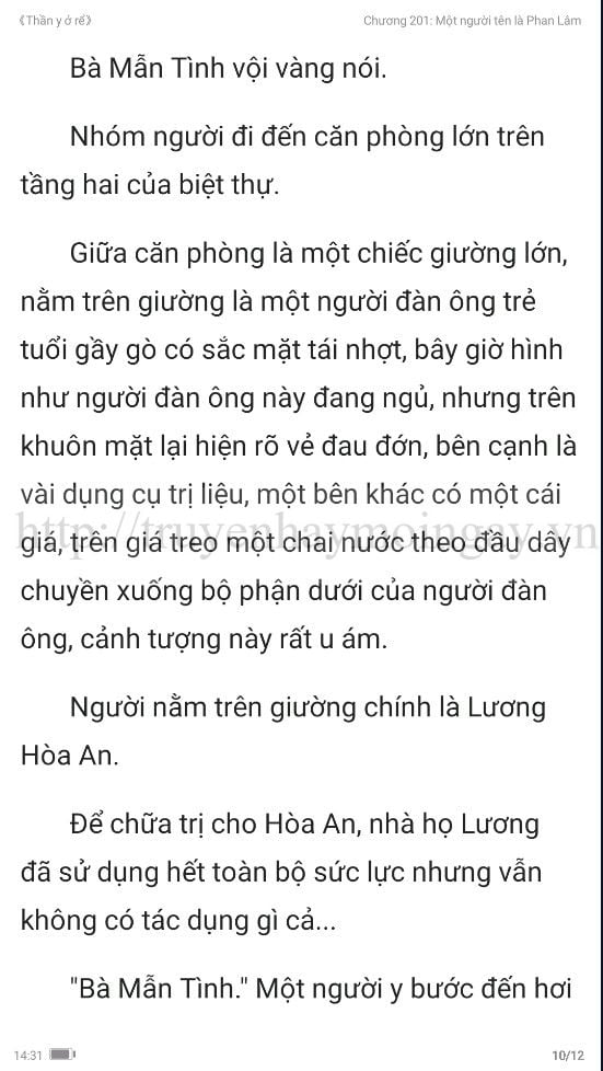 thần y ở rể