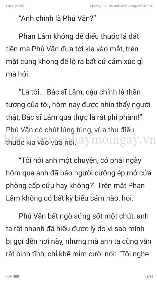 thần y ở rể