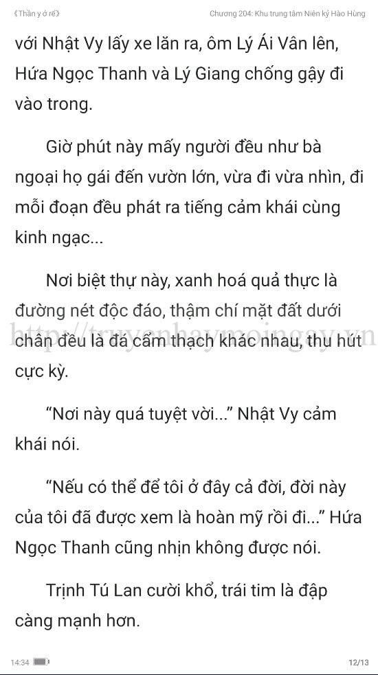 thần y ở rể