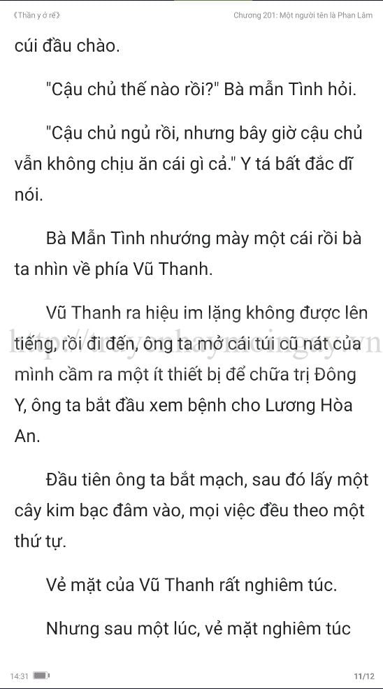 thần y ở rể