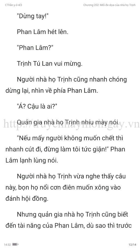 thần y ở rể