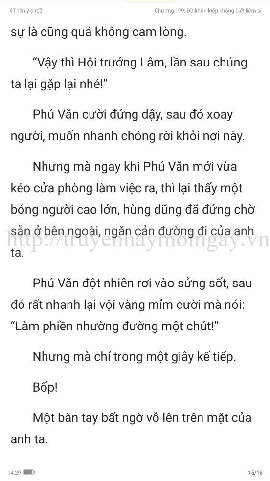 thần y ở rể