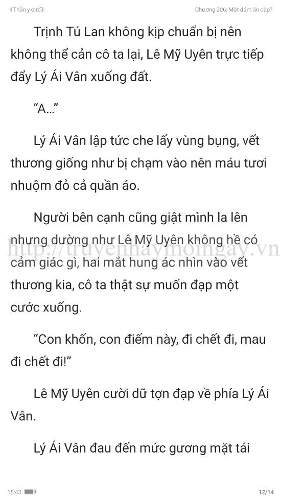 thần y ở rể