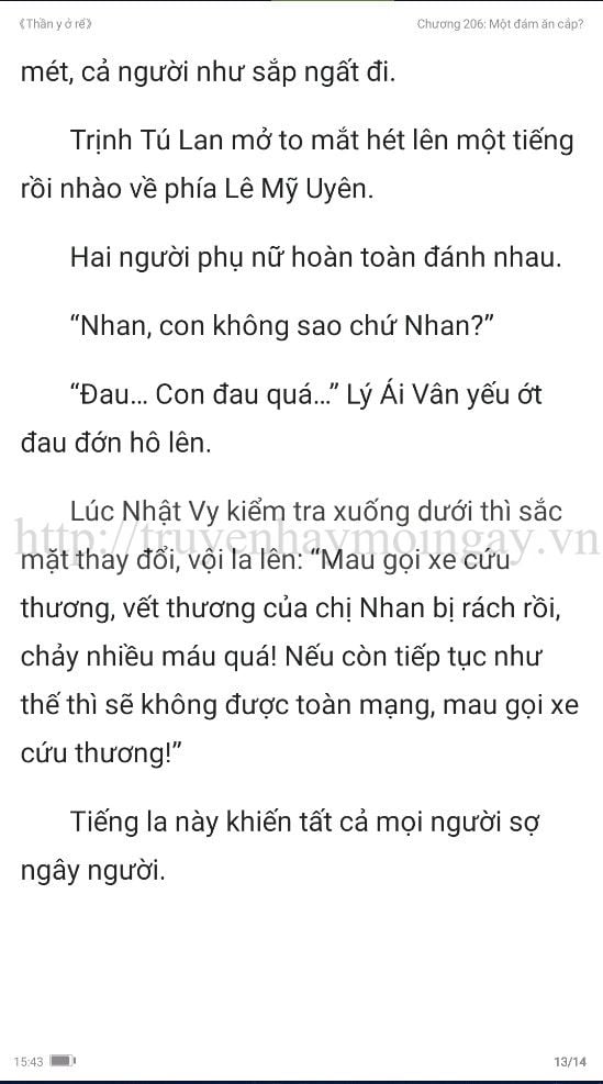 thần y ở rể