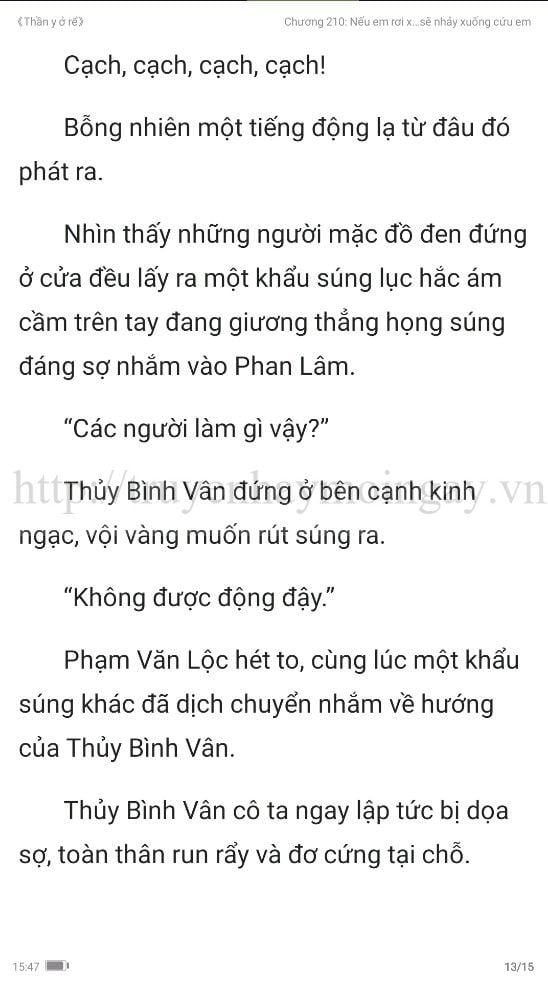 thần y ở rể