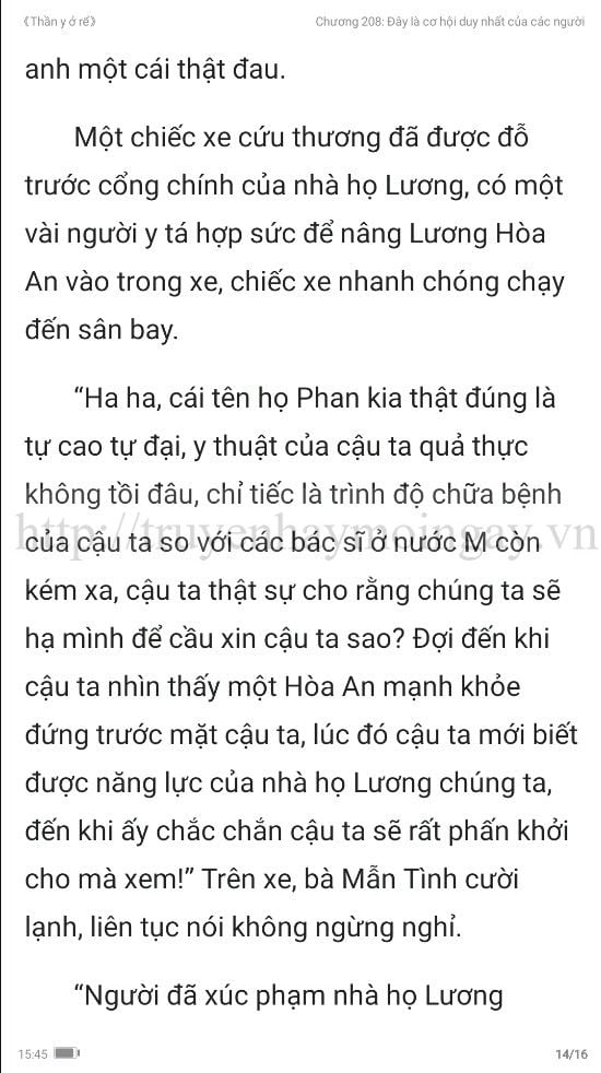 thần y ở rể