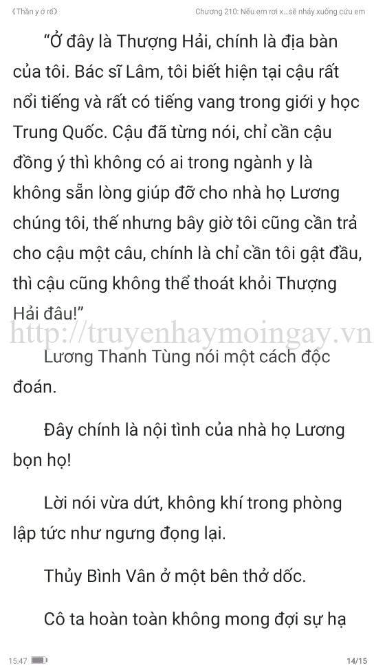 thần y ở rể