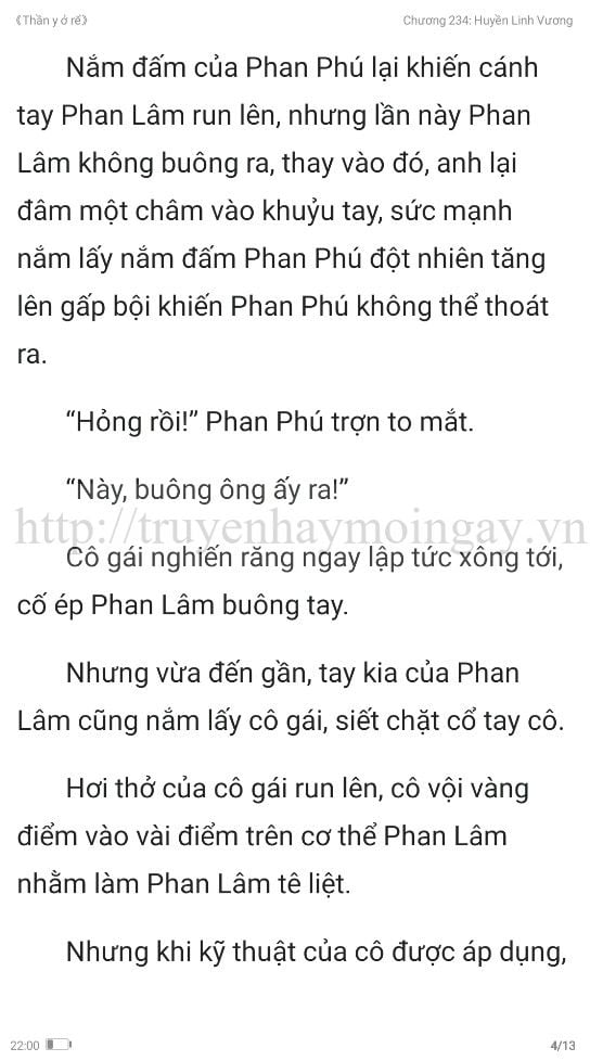 thần y ở rể