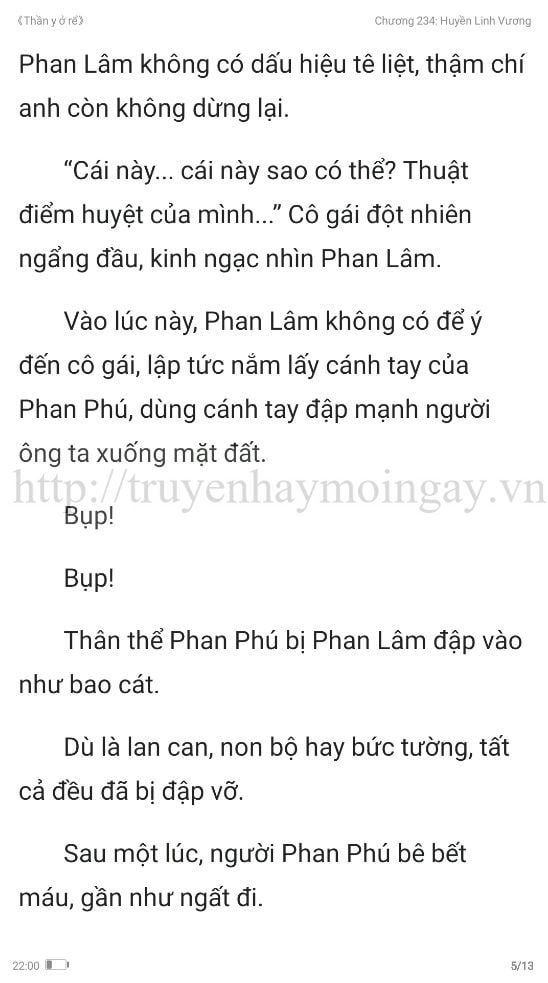 thần y ở rể