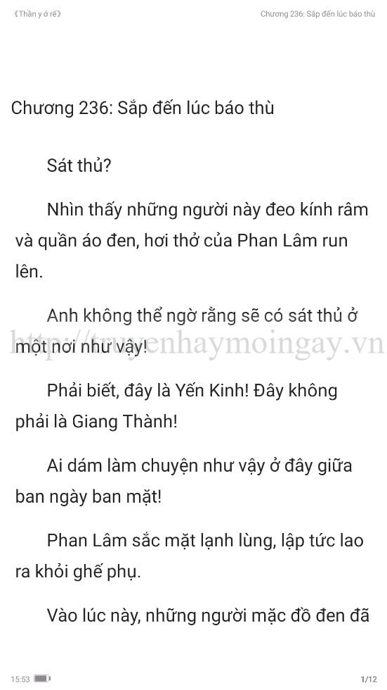 thần y ở rể