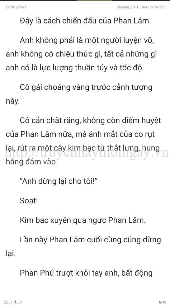 thần y ở rể