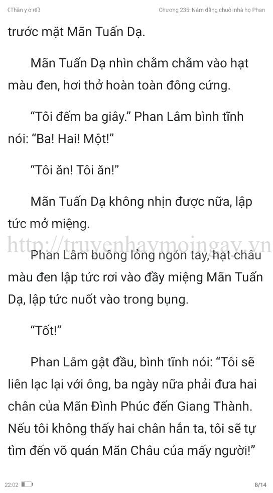 thần y ở rể