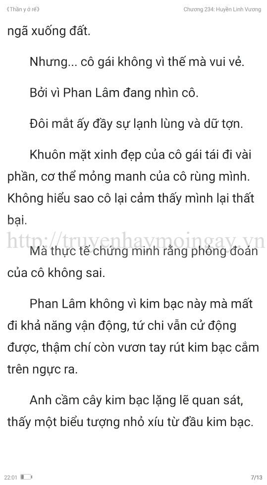 thần y ở rể