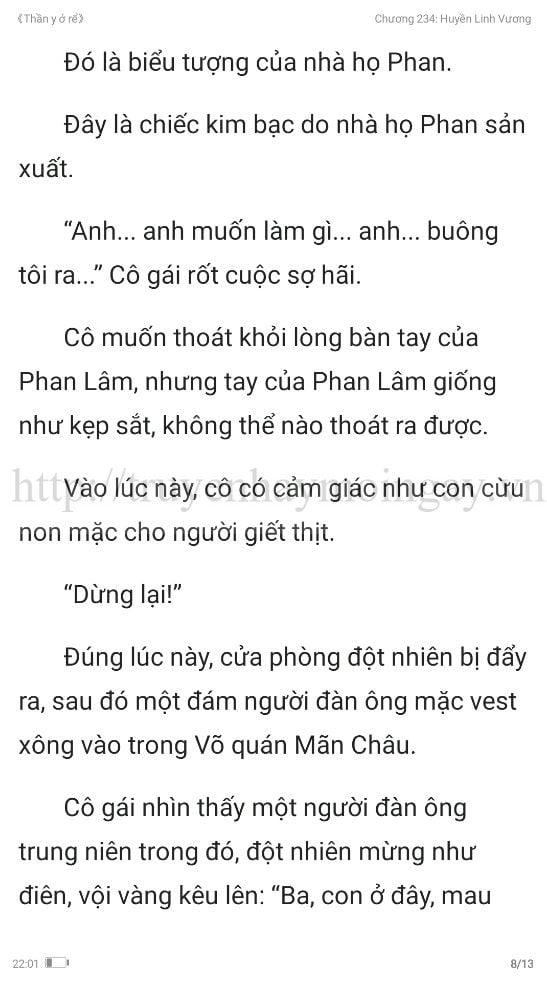 thần y ở rể