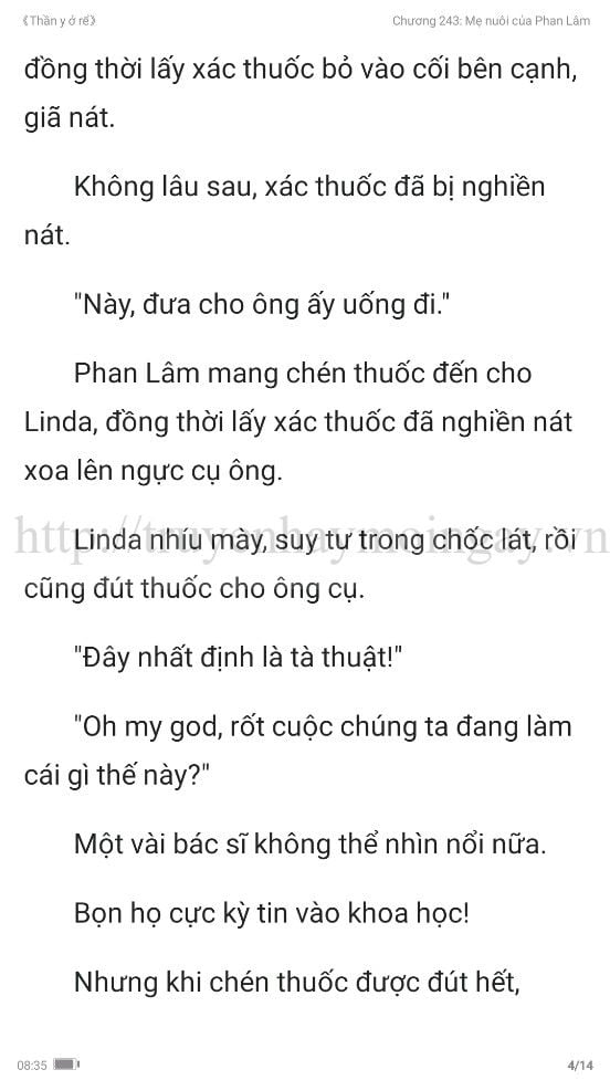 thần y ở rể