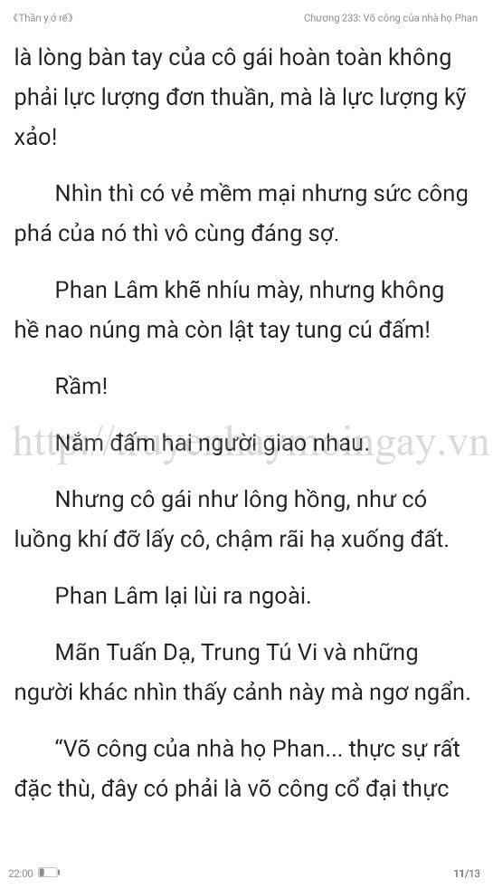 thần y ở rể