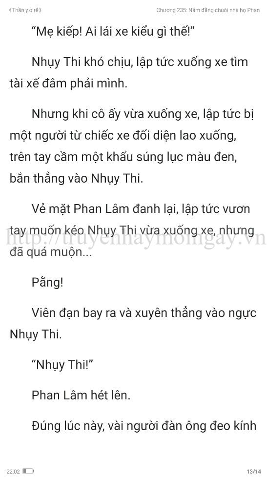 thần y ở rể