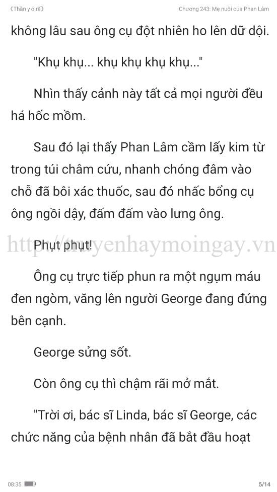 thần y ở rể