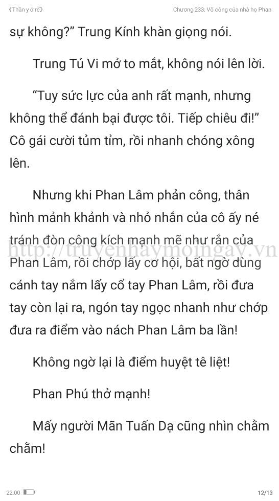 thần y ở rể